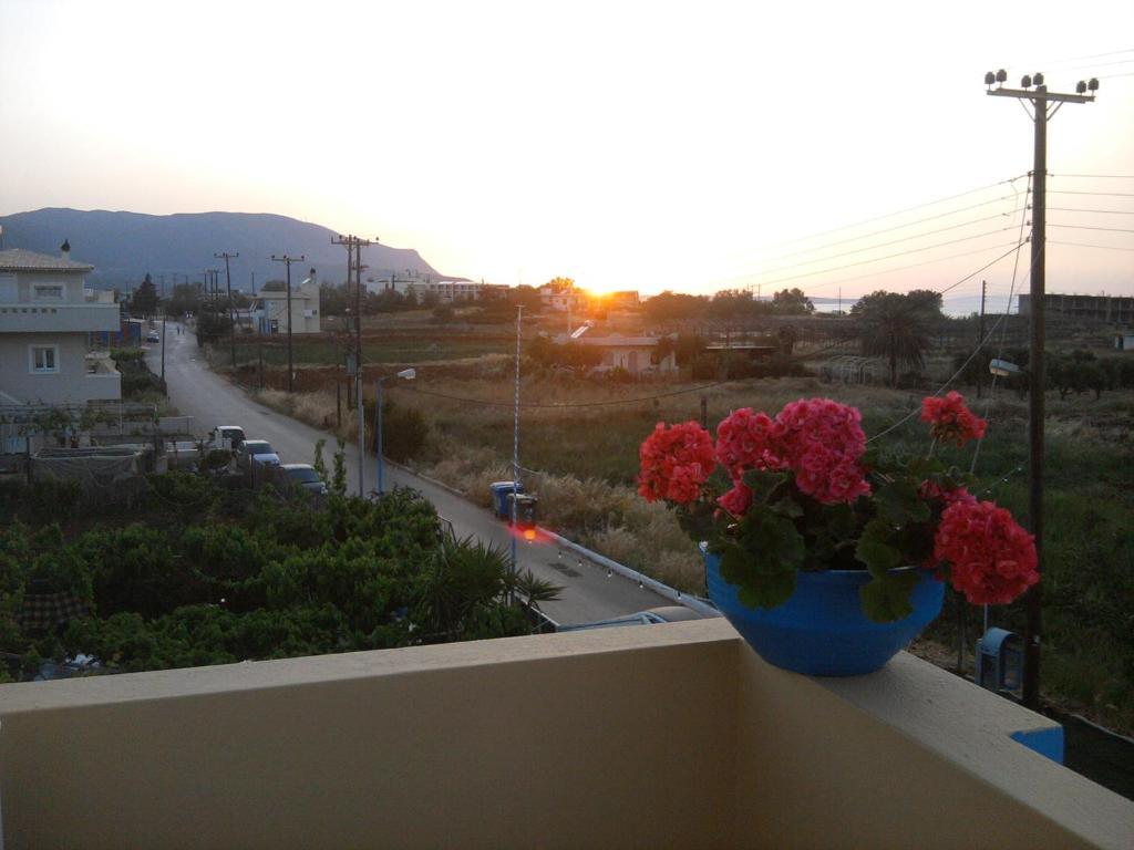 Malia Star Apartments Cameră foto